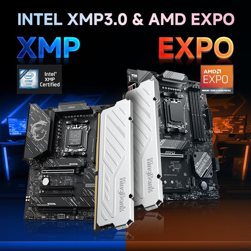 KingBank KJXS DDR5 RAM 8GB/16G - Ddr5 16Gb 6000Mhz reseña y precio